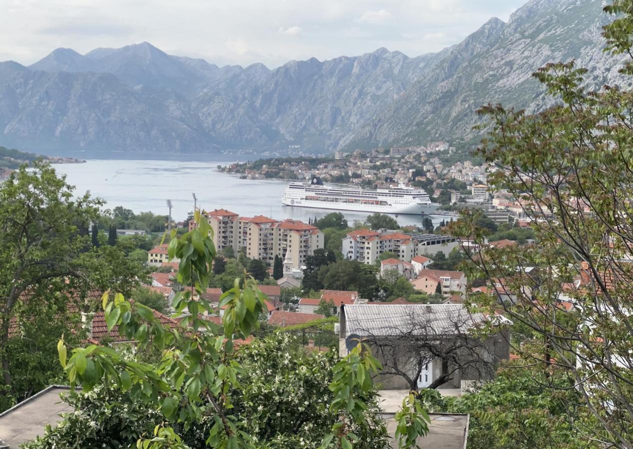 Apartman Savo Kotor Eksteriør bilde